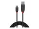 LINDY 1,5m USB 3.1 Typ A an C Kabel