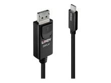 LINDY USB Typ C an DisplayPort 4K60 Adapterkabel 2m...